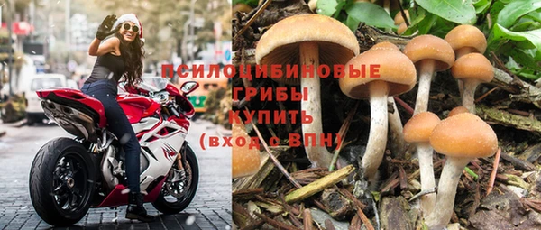марки nbome Гусь-Хрустальный