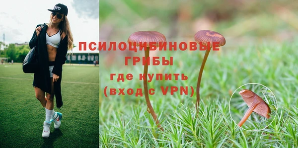 каннабис Гусев