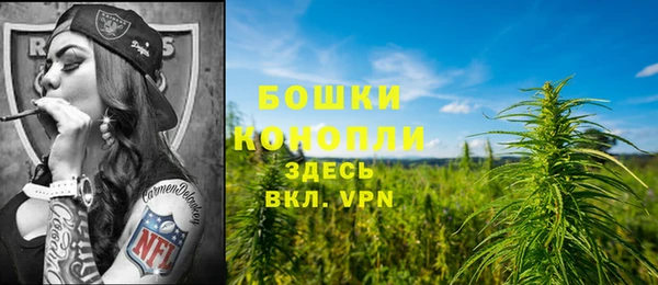 каннабис Гусев