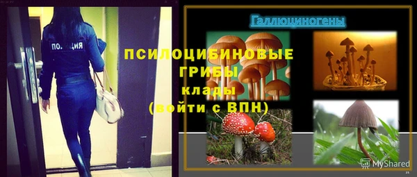 каннабис Гусев