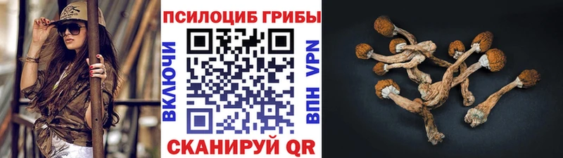 Псилоцибиновые грибы Cubensis  наркота  Мценск 
